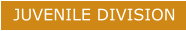JUVENILE DIVISION